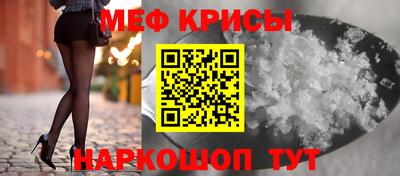 стафф Кингисепп