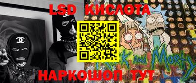 стафф Кингисепп