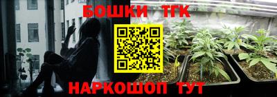 стафф Кингисепп