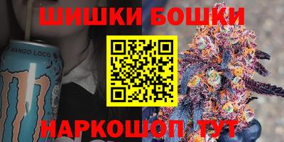стафф Кингисепп