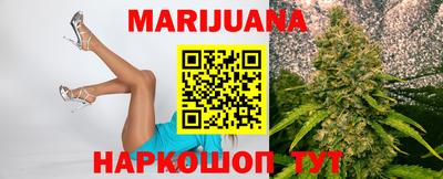 стафф Кингисепп