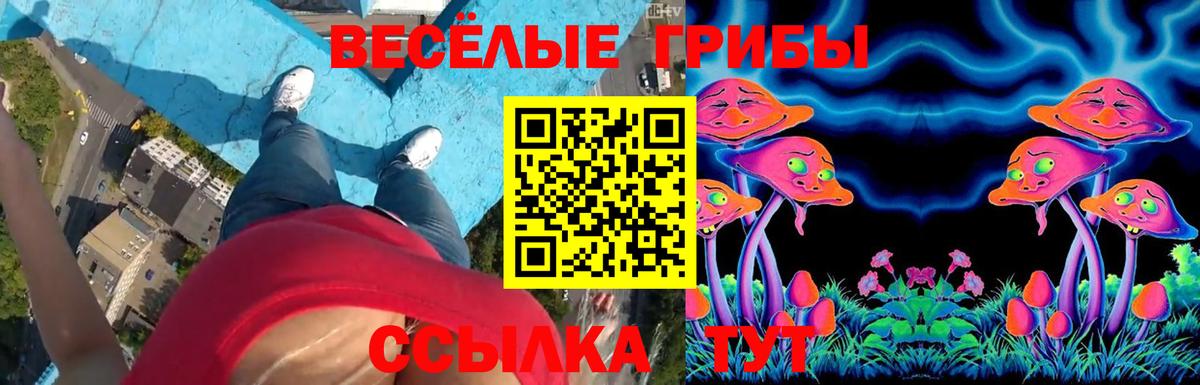 Галлюциногенные грибы ЛСД  Вход с VPN  Лениногорск 
